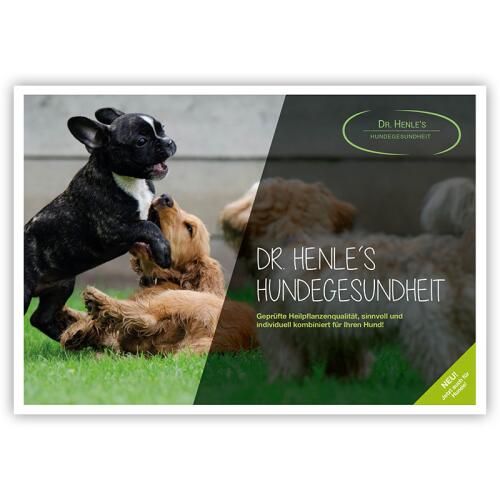 DR. HENLES Zubehör KATALOG HUNDEGESUNDHEIT