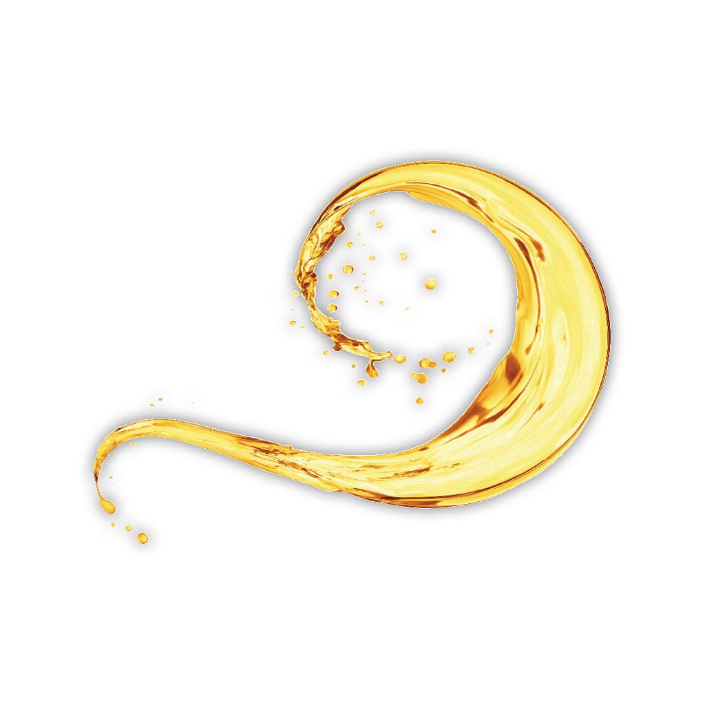 MARSTALL Ergänzungsfutter LEIN-DISTEL-ÖL für Pferde 5l