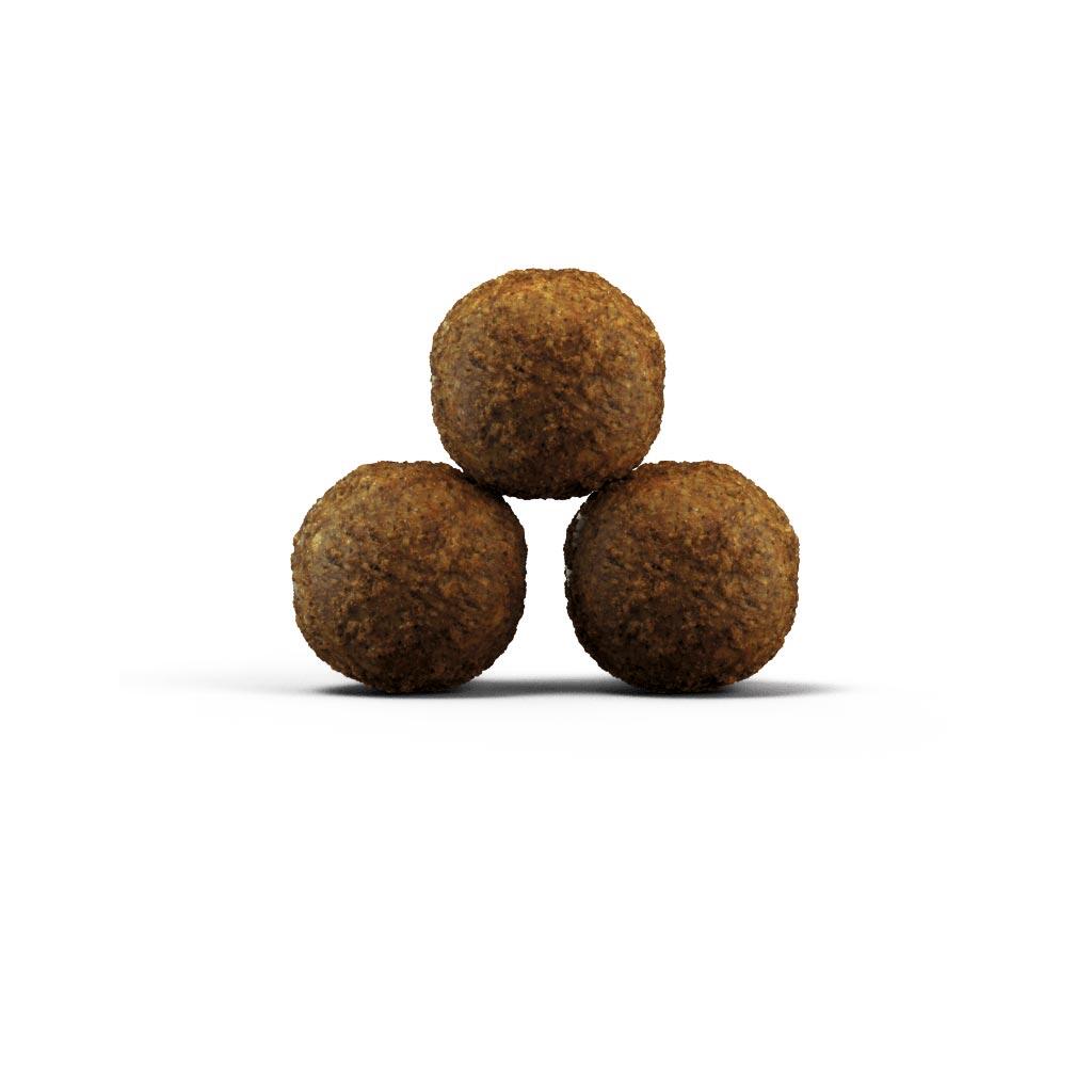 JOSERA Trockenfutter KITTEN GRAINFREE für Katzen 4,25kg