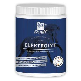 DERBY Ergänzungsfutter ELEKTROLYT für Pferde 1kg