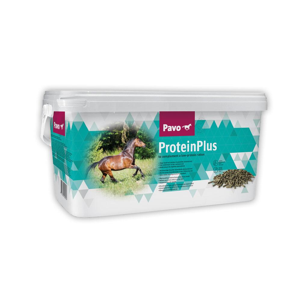 PAVO Ergänzungsfutter PROTEINPLUS für Pferde 7kg