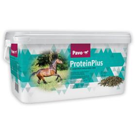 PAVO Ergänzungsfutter PROTEINPLUS für Pferde 7kg