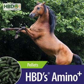 HBDS Ergänzungsfutter AMINO+ für Pferde