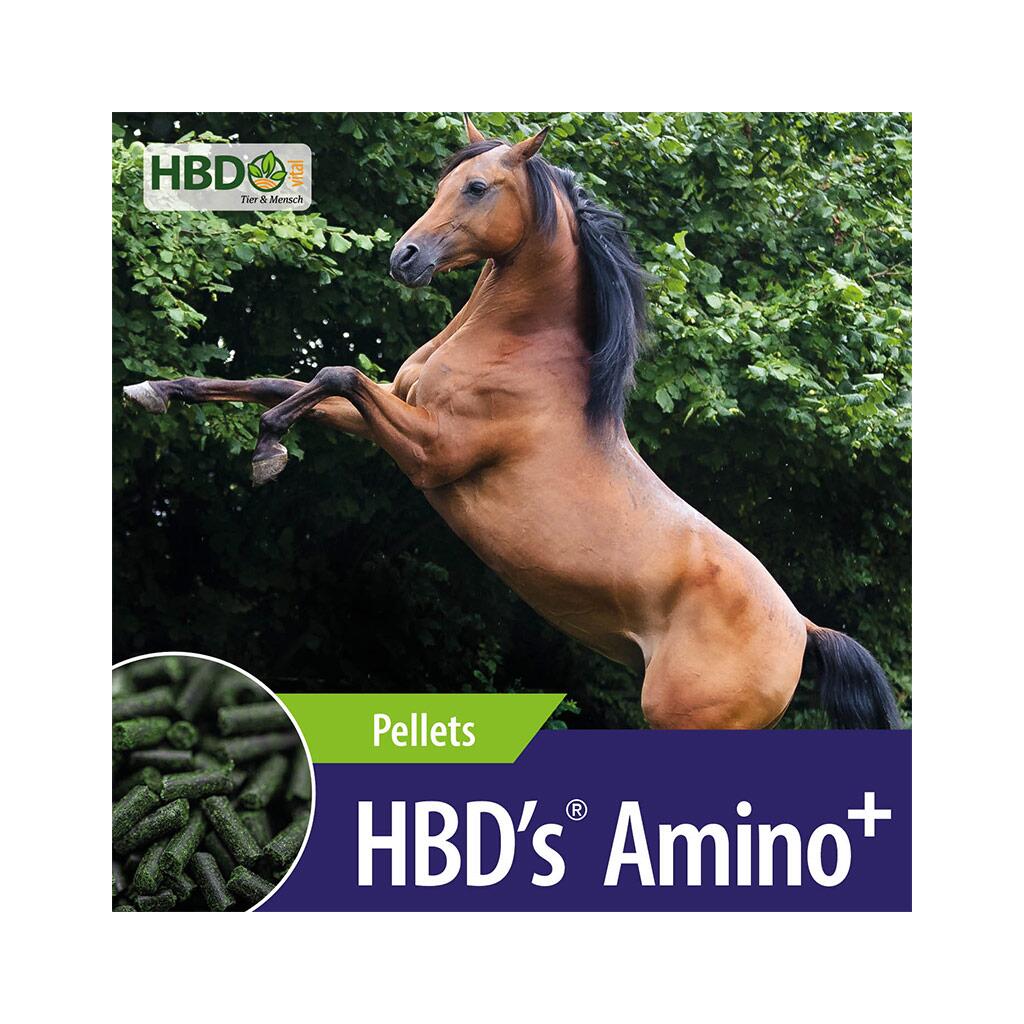 HBDS Ergänzungsfutter AMINO+ für Pferde 1kg