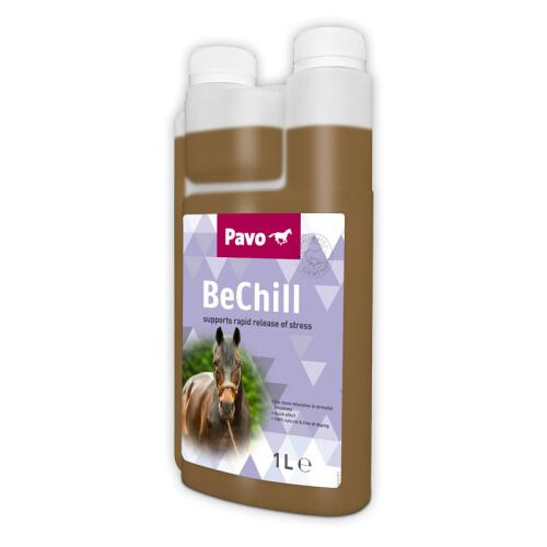 PAVO Ergänzungsfutter BECHILL für Pferde 1l