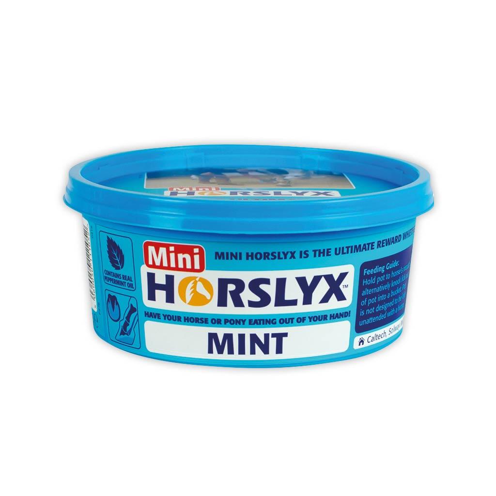 HORSLYX Leckmasse MINT für Pferde 650g