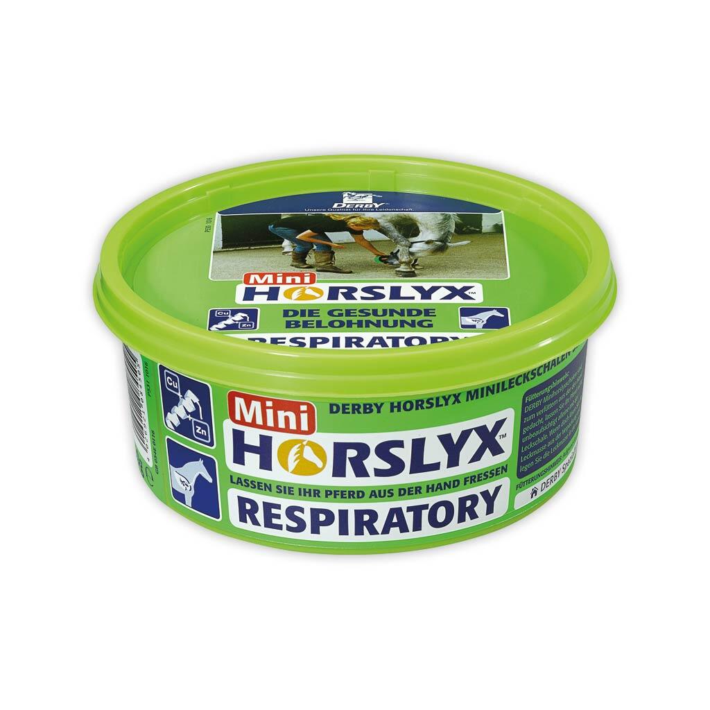 HORSLYX Leckmasse RESPIRATORY für Pferde 650g