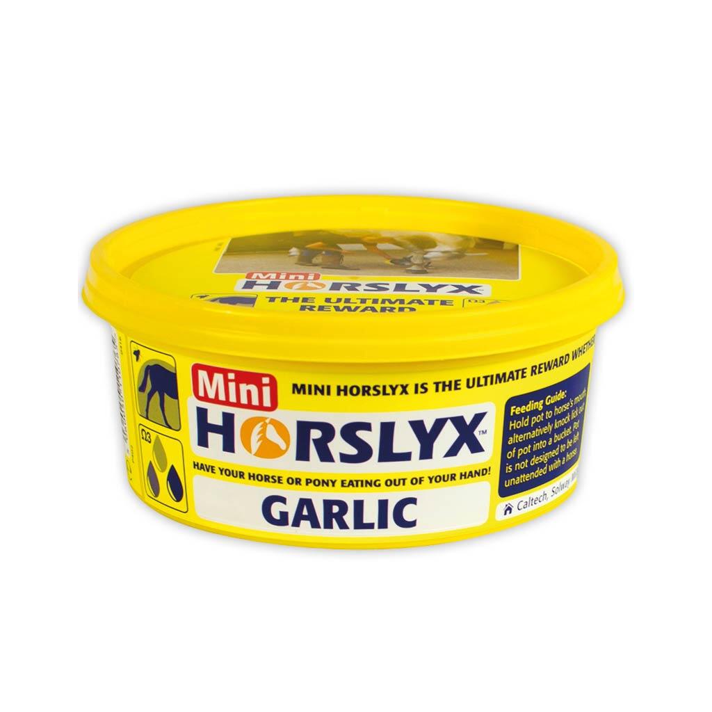 HORSLYX Leckmasse GARLIC für Pferde 650g