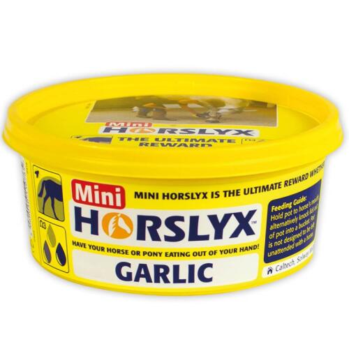 HORSLYX Leckmasse GARLIC für Pferde 650g