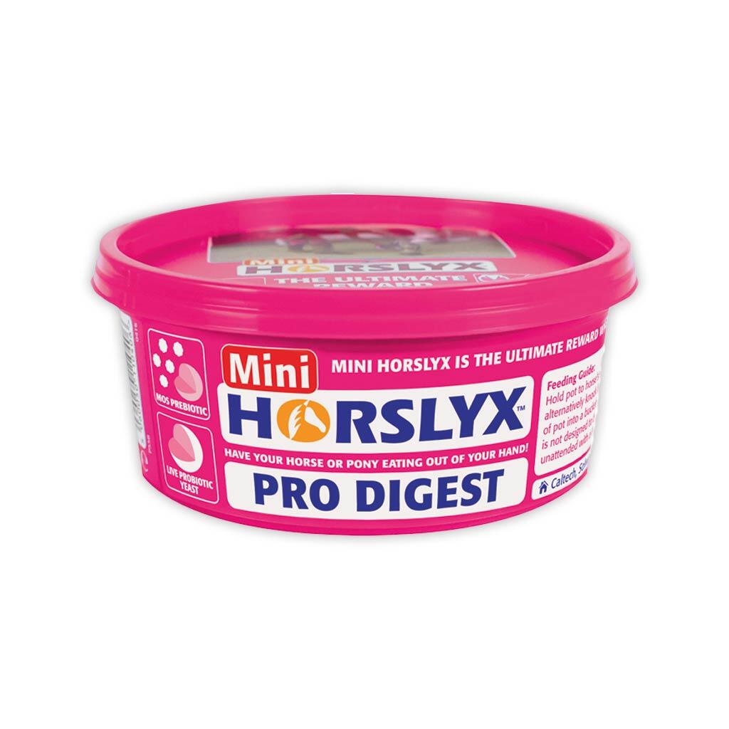 HORSLYX Leckmasse PRO DIGEST für Pferde 650g