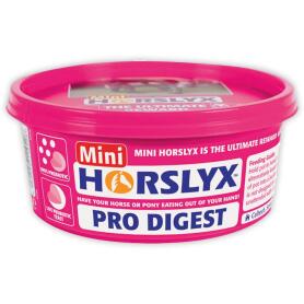 HORSLYX Leckmasse PRO DIGEST für Pferde 650g