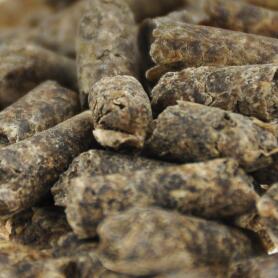 WB QUALITÄTSFUTTERWERK Futter MELASSESCHNITZEL-PELLETS für Pferde 25kg