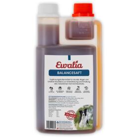 EWALIA Ergänzungsfutter BALANCESAFT für Hunde...