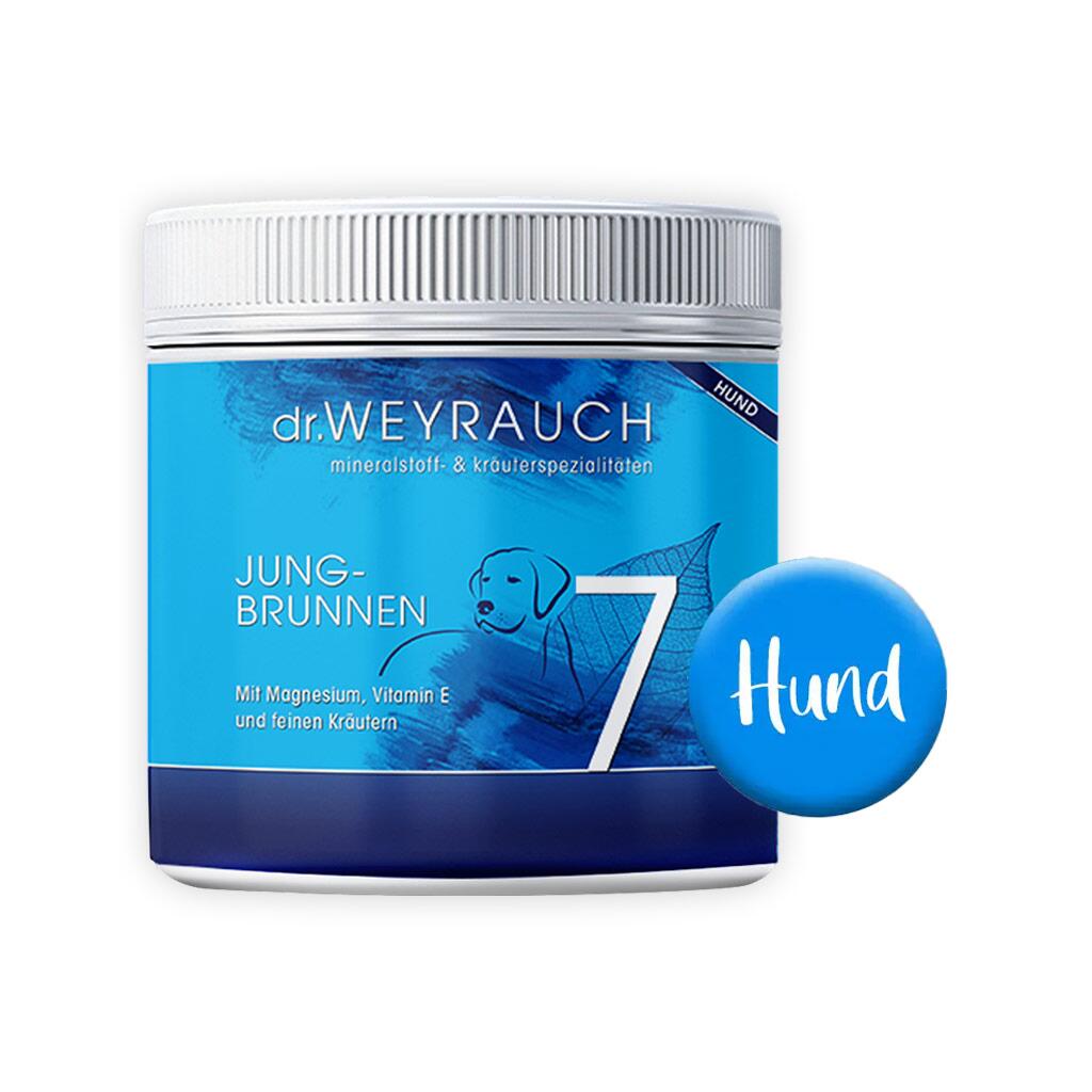DR. WEYRAUCH Ergänzungsfutter NR. 7 JUNGBRUNNEN für Hunde 100g Pulver