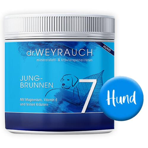 DR. WEYRAUCH Ergänzungsfutter NR. 7 JUNGBRUNNEN für Hunde 100g Pulver