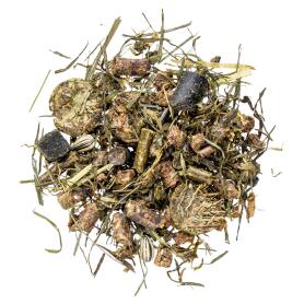 AGROBS Futter SPITZENREITER MAGENMÜSLI für Pferde