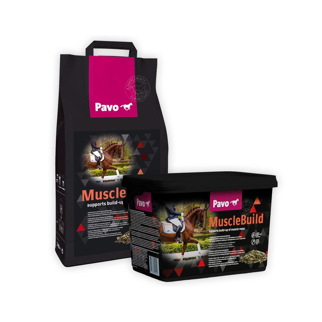 PAVO Ergänzungsfutter MUSCLEBUILD für Pferde