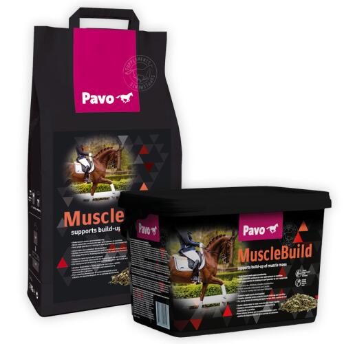 PAVO Ergänzungsfutter MUSCLEBUILD für Pferde
