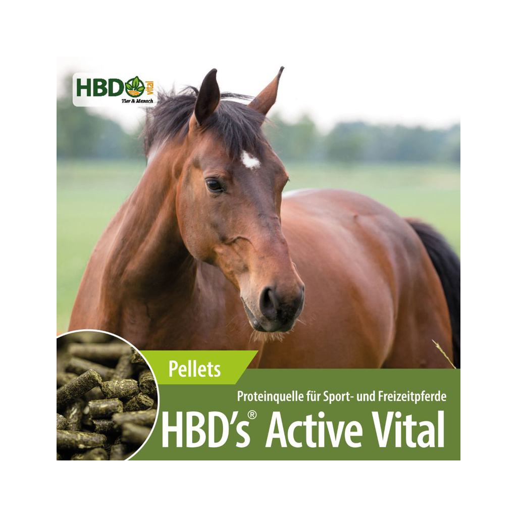 HBDS Futter ACTIVEVITAL für Pferde 10kg