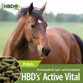 HBDS Futter ACTIVEVITAL für Pferde 10kg