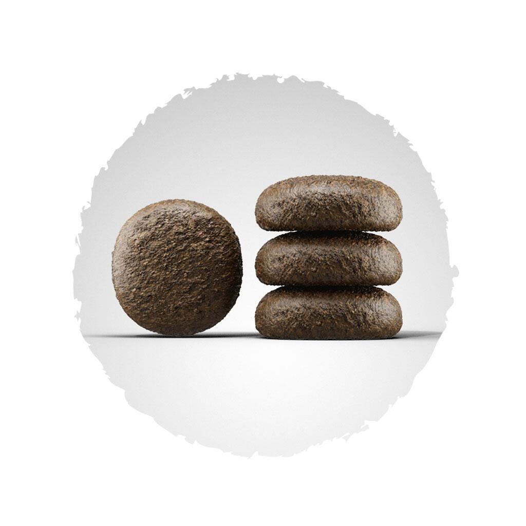 JOSERA Trockenfutter FESTIVAL für Hunde 3kg