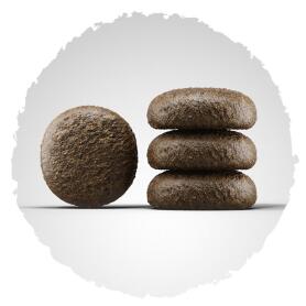 JOSERA Trockenfutter FESTIVAL für Hunde 3kg