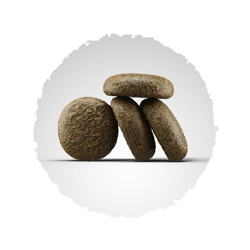 JOSERA Trockenfutter SALMON & POTATO für Hunde 3kg