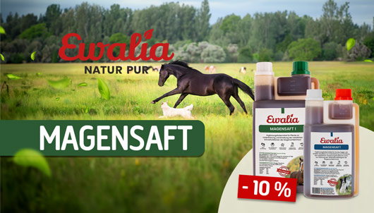 Aktion: Ewalia Magensaft 10% Rabatt