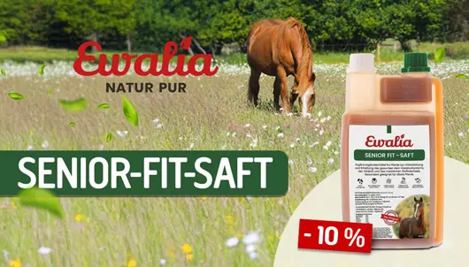 Ewalia Senior Fit Saft 10% Rabatt