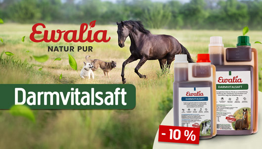 Aktion: Ewalia Darmvitalsaft 10% Rabatt
