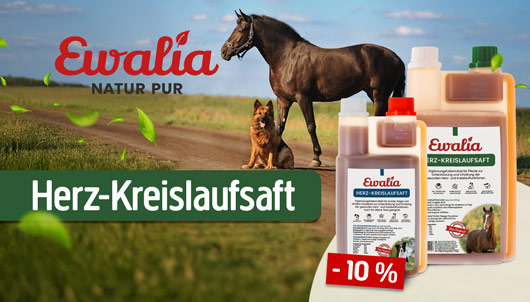 Ewalia Herz Kreislauf Saft für Pferde und Hunde