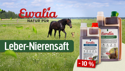 Aktion: Ewalia Leber-Nierensaft 10% Rabatt