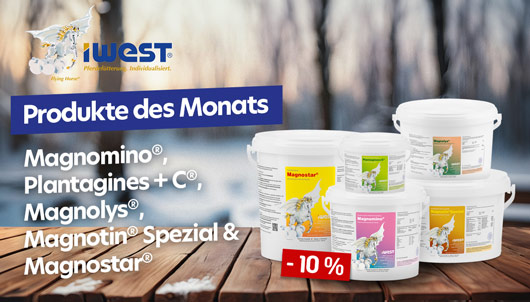 IWEST Produkte des Monats