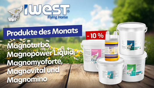 Produkte des Monats IWEST