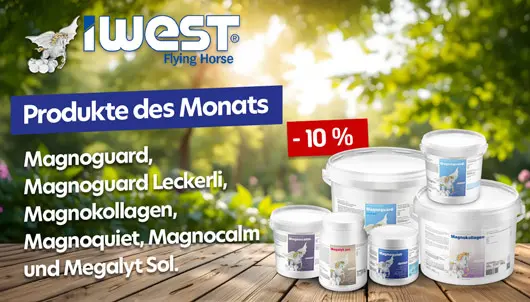 Iwest Produkte des Monats