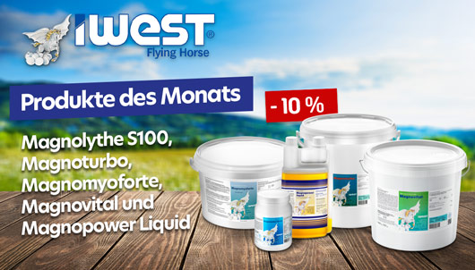 Iwest Produkte des Monats