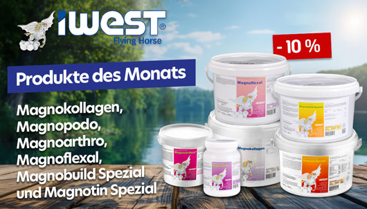 Iwest Produkte des Monats