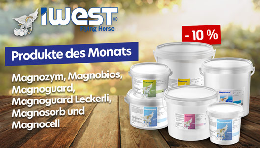 IWEST Produkte des Monats