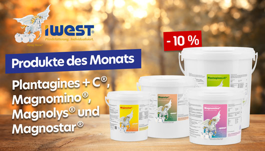 Iwest Produkte des Monats