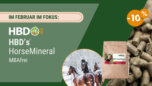HBD Horsemineral MBA-frei Angebot