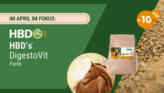Produkt des Monats HBD DigestoVit forte
