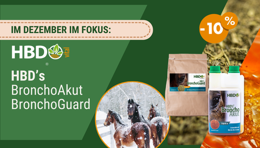 HBD's Produkte des Monats