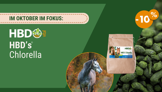Aktion: HBD's Chlorella