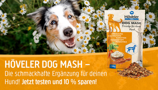 Aktion: Höveler Dog Mash 10% Rabatt