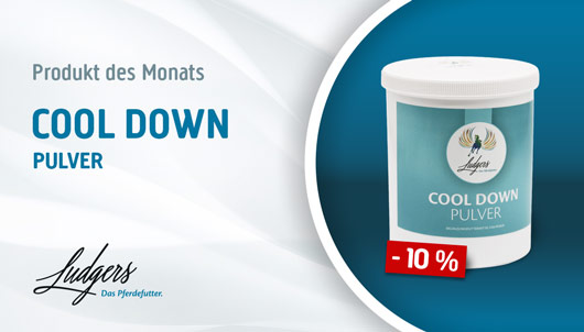 Ludgers Produkt des Monats:  Cool Down