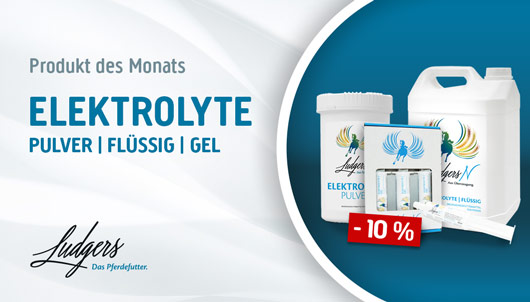 Aktion: Ludgers Elektrolyte 10% Rabatt