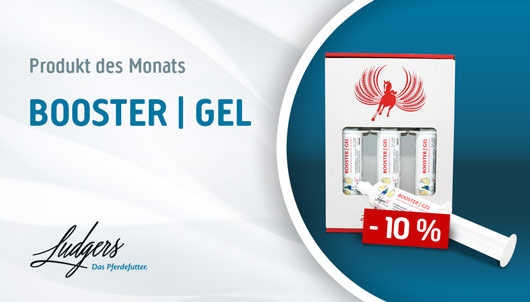 Aktion: Ludgers Booster Gel 10% Rabatt