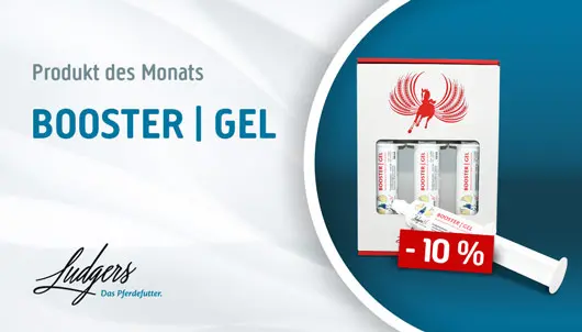 Ludgers Booster Gel 10% Rabatt