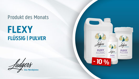 Aktion: Ludgers Flexy