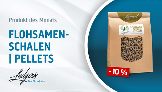 Ludgers Flohsamenschalen Pellets